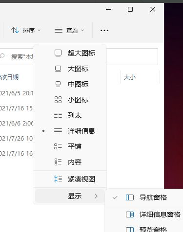 Win11怎么顯示隱藏的文件？Win11顯示隱藏文件的方法