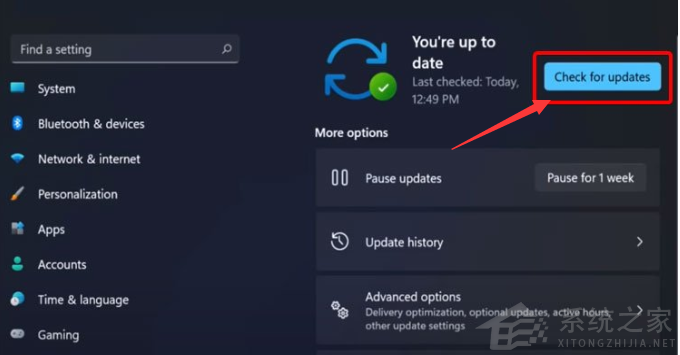 Win11顯卡驅動怎么升級？Win11更新顯卡驅動教程