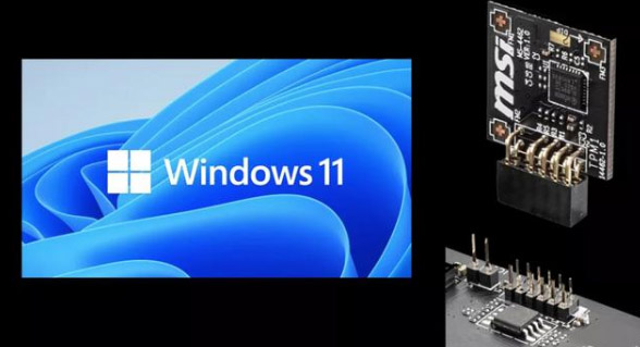 Win11系統怎么查詢tpm版本？Win11系統查詢tpm版本方法