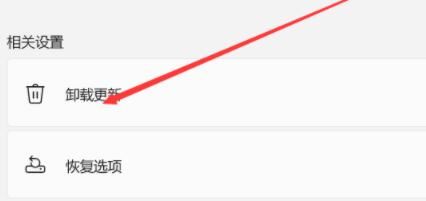 Win11資源管理器自動重啟怎么辦？Win11資源管理器自動重啟的解決方法