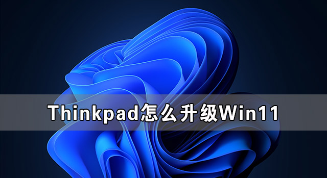 Thinkpad怎么升級(jí)Win11 Thinkpad筆記本升級(jí)Win11系統(tǒng)教程