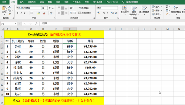 Excel 2019中使用條件格式分析數(shù)據(jù)的7類方法教學(xué)