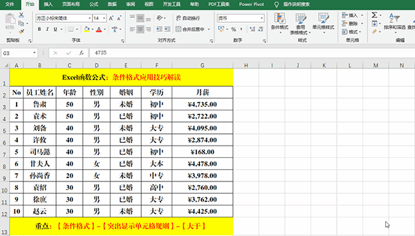 Excel 2019中使用條件格式分析數(shù)據(jù)的7類方法教學(xué)