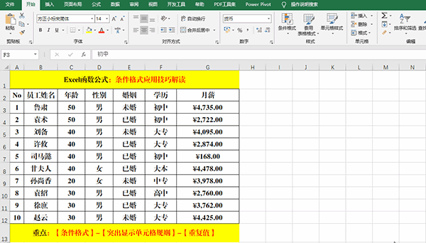 Excel 2019中使用條件格式分析數(shù)據(jù)的7類方法教學(xué)