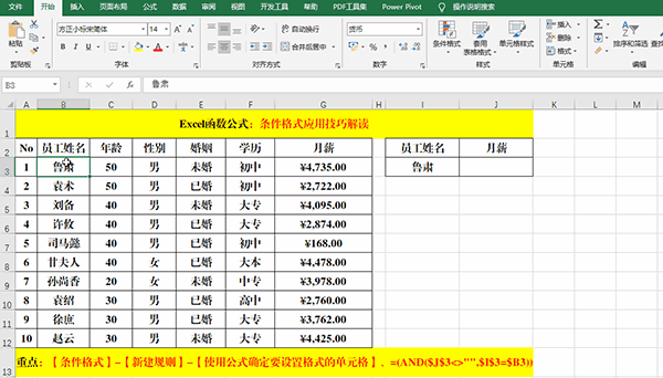 Excel 2019中使用條件格式分析數(shù)據(jù)的7類方法教學(xué)