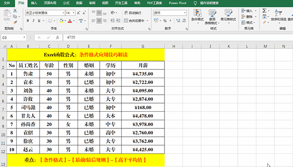 Excel 2019中使用條件格式分析數(shù)據(jù)的7類方法教學(xué)