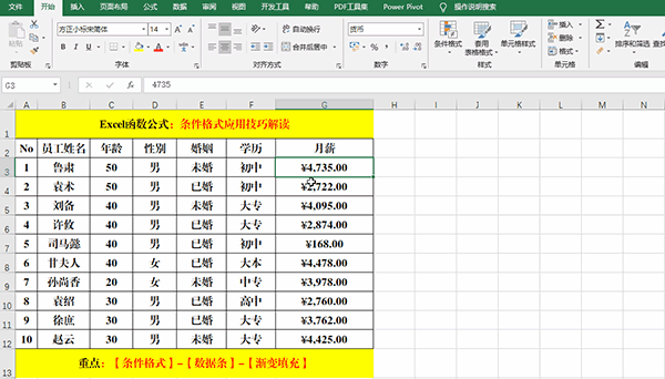 Excel 2019中使用條件格式分析數(shù)據(jù)的7類方法教學(xué)