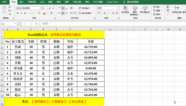 Excel 2019中使用條件格式分析數(shù)據(jù)的7類方法教學(xué)