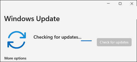 如何手動(dòng)更新Windows11？手動(dòng)更新Windows11方法教程