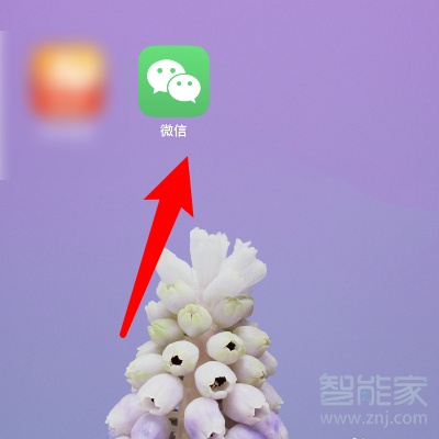 蘋(píng)果微信免密支付怎么取消
