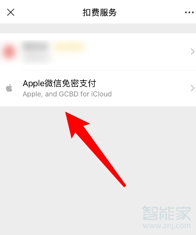 蘋(píng)果微信免密支付怎么取消