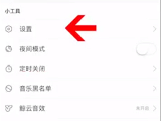 蘋(píng)果手機(jī)網(wǎng)易云怎么設(shè)置桌面歌詞