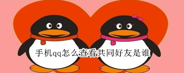手機(jī)qq怎么查看共同好友是誰