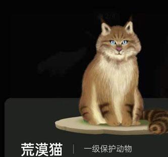 螞蟻森林巡護(hù)動(dòng)物有什么用?支付寶螞蟻森林巡護(hù)動(dòng)物怎么召回
