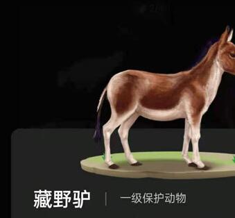螞蟻森林巡護(hù)動(dòng)物有什么用?支付寶螞蟻森林巡護(hù)動(dòng)物怎么召回