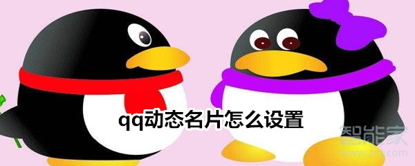 qq動(dòng)態(tài)名片怎么設(shè)置