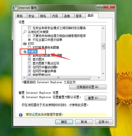 Win10瀏覽器無法加載插件怎么辦?Win10瀏覽器插件加載不出來