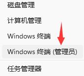 Win11小娜可以語(yǔ)音喚醒嗎？Win11小娜是否可以語(yǔ)音喚醒詳情