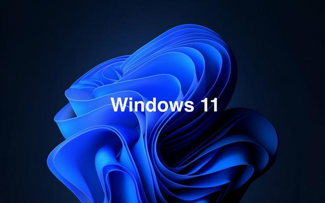Win11專業(yè)版和家庭版哪個(gè)好用？Win11專業(yè)版和家庭版對(duì)比