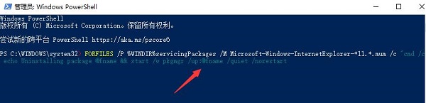 Win10電腦怎么徹底卸載IE瀏覽器？