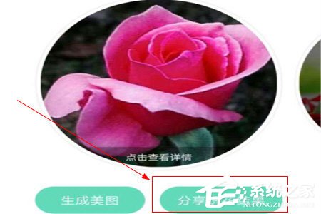 形色識(shí)花怎么分享到微信？形色識(shí)花怎么分享到微信的方法