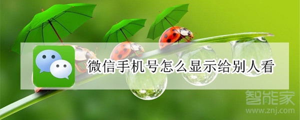 微信手機(jī)號(hào)怎么顯示給別人看