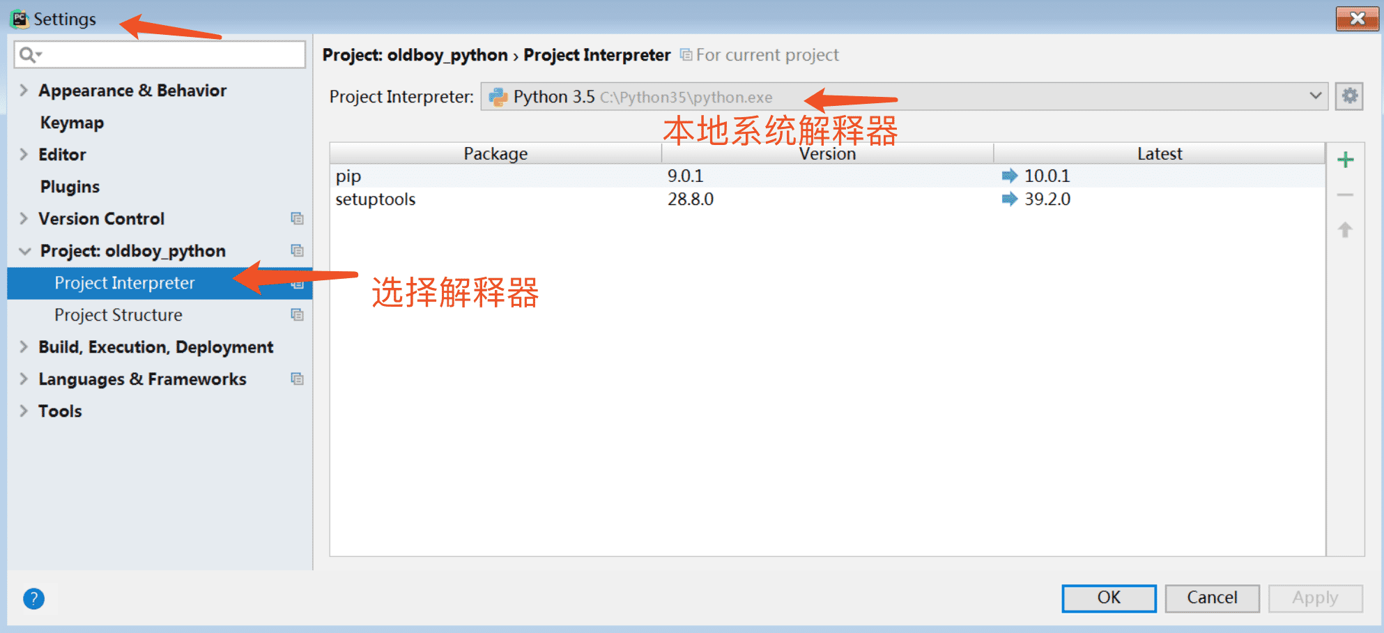 Python本地及虛擬解釋器配置過(guò)程解析