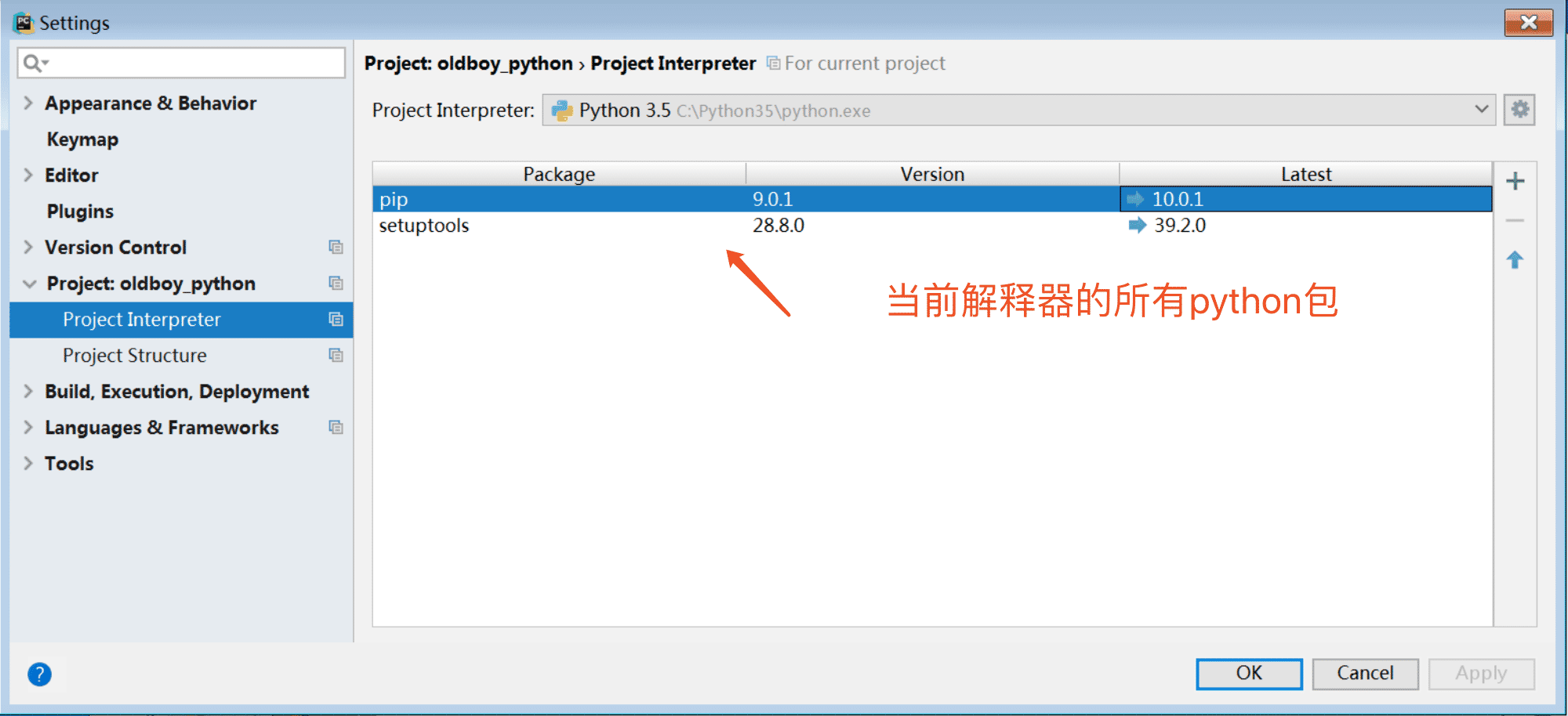 Python本地及虛擬解釋器配置過(guò)程解析