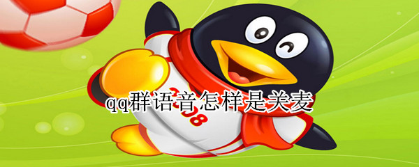 qq群語(yǔ)音怎樣是關(guān)麥