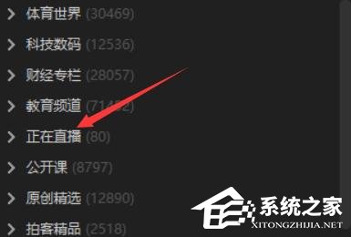 愛奇藝輪播臺如何使用？愛奇藝輪播臺使用教程