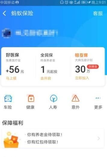 如何關(guān)閉支付寶賬戶保險(xiǎn)的自動(dòng)續(xù)費(fèi)功能