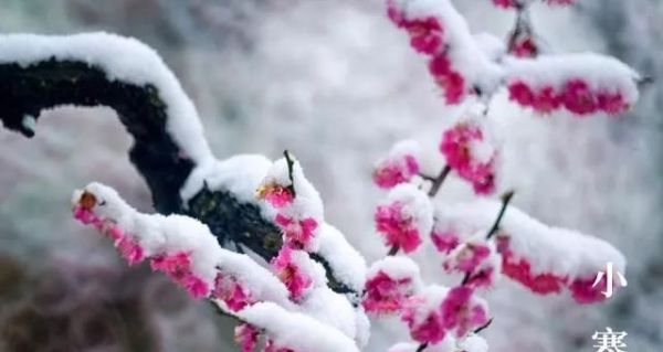 又是一年小寒日，小寒詩(shī)詞你可知？朋友圈文案有著落了