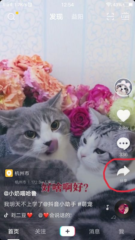 抖音全屏設(shè)置在哪