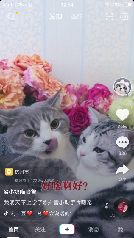 抖音全屏設(shè)置在哪