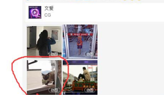 網(wǎng)易云音樂gif動圖怎么下載保存？下載保存gif動圖步驟分享