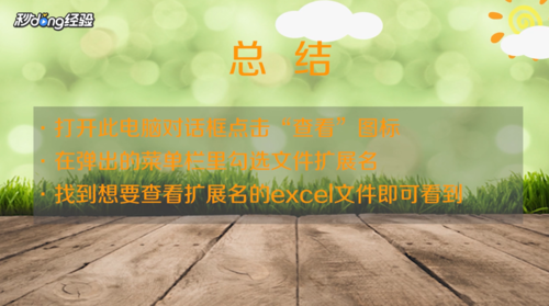 電腦上如何看excel的擴(kuò)展名