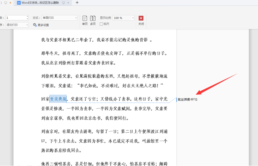 WPSWord文檔標記區(qū)怎么刪除