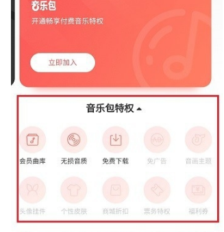 網(wǎng)易云音樂黑膠vip和音樂包有什么區(qū)別 黑膠vip和音樂包性價(jià)比對比