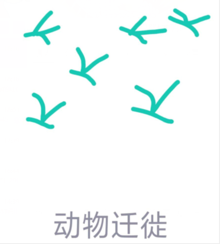 qq畫圖紅包動物遷徙怎么畫？QQ畫圖紅包動物遷徙畫法分享