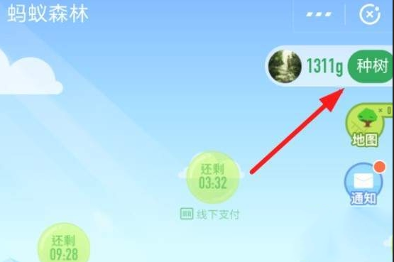 在支付寶里怎么認(rèn)領(lǐng)螞蟻森林保護(hù)地?認(rèn)領(lǐng)螞蟻森林保護(hù)地的方法介紹