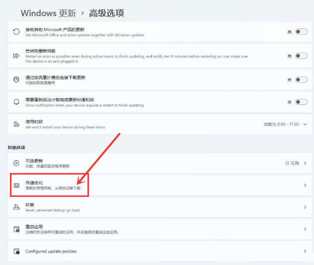 Windows11打開傳遞優(yōu)化功能教程分享