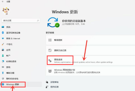 Windows11打開傳遞優(yōu)化功能教程分享