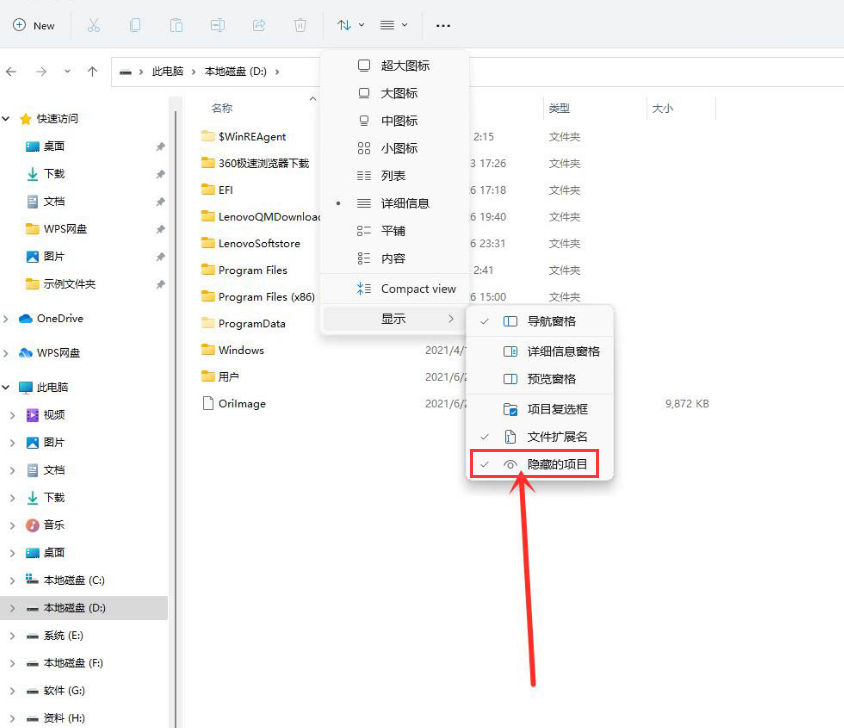 Windows11隱秘項(xiàng)目查看教程分享