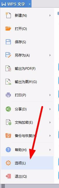 WPS設(shè)置禁止標(biāo)點(diǎn)符號(hào)在行首顯示具體操作流程