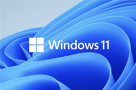 win11外接顯示器沒(méi)反應(yīng)解決教程