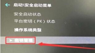 win11顯示必須安全啟動(dòng)的解決方法