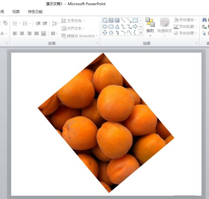 ppt中旋轉(zhuǎn)圖片具體操作方法