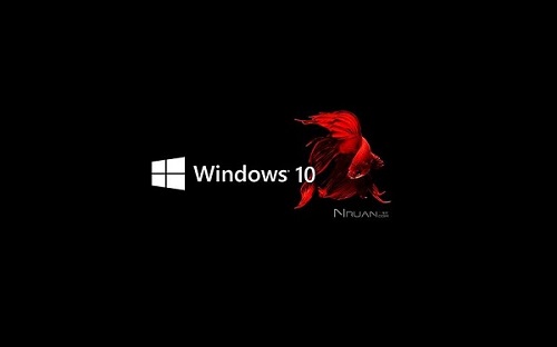win10一鍵重裝系統(tǒng)排名2021