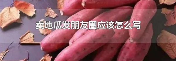 賣地瓜發(fā)朋友圈應該怎么寫