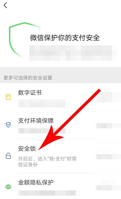 微信支付如何設置安全鎖？ 微信支付安全鎖設置方法教程解答！